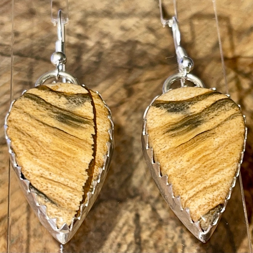 Picture Jasper Earrings 2”